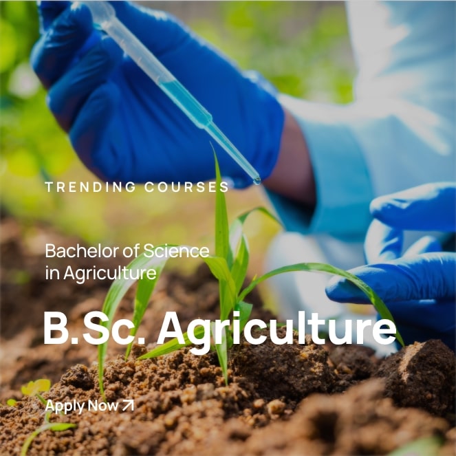 301 Moved Permanently